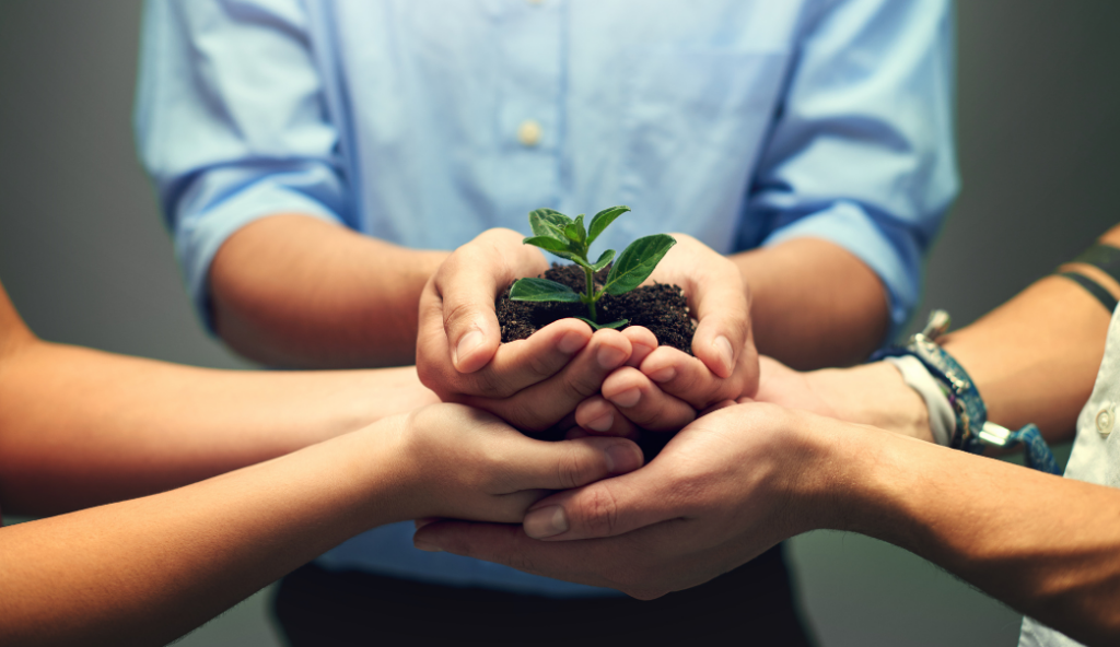 Lead Nurturing Process